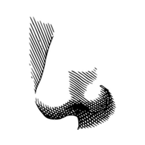 icon-nez